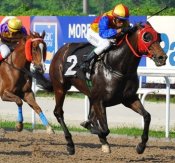 China Eagle (Taib Affandi) heads for home a convincing winner on Friday.<br>Photo by Singapore Turf Club